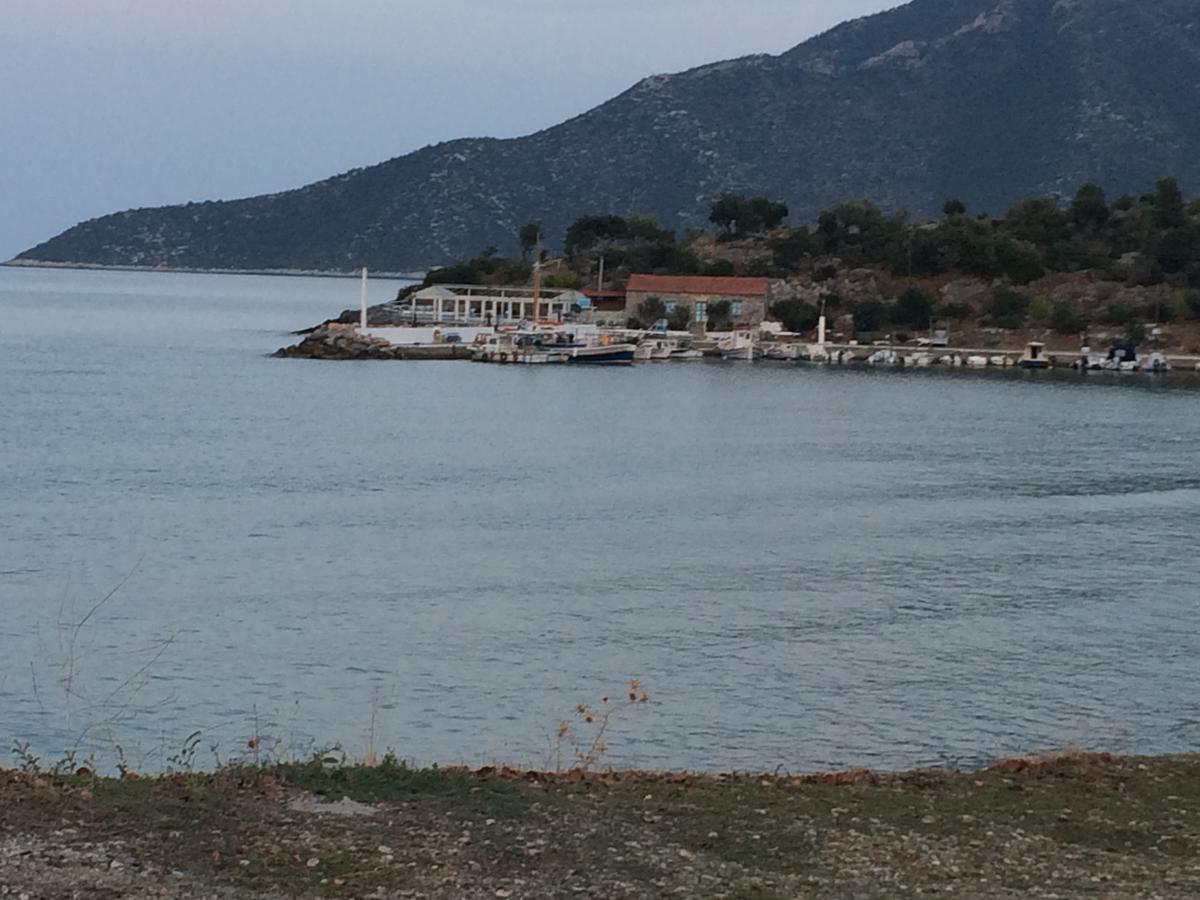 Stam House Βίλα Λεωνίδιο Εξωτερικό φωτογραφία